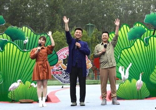 八法s11最新爆料视频,揭秘神秘事件背后的惊人真相